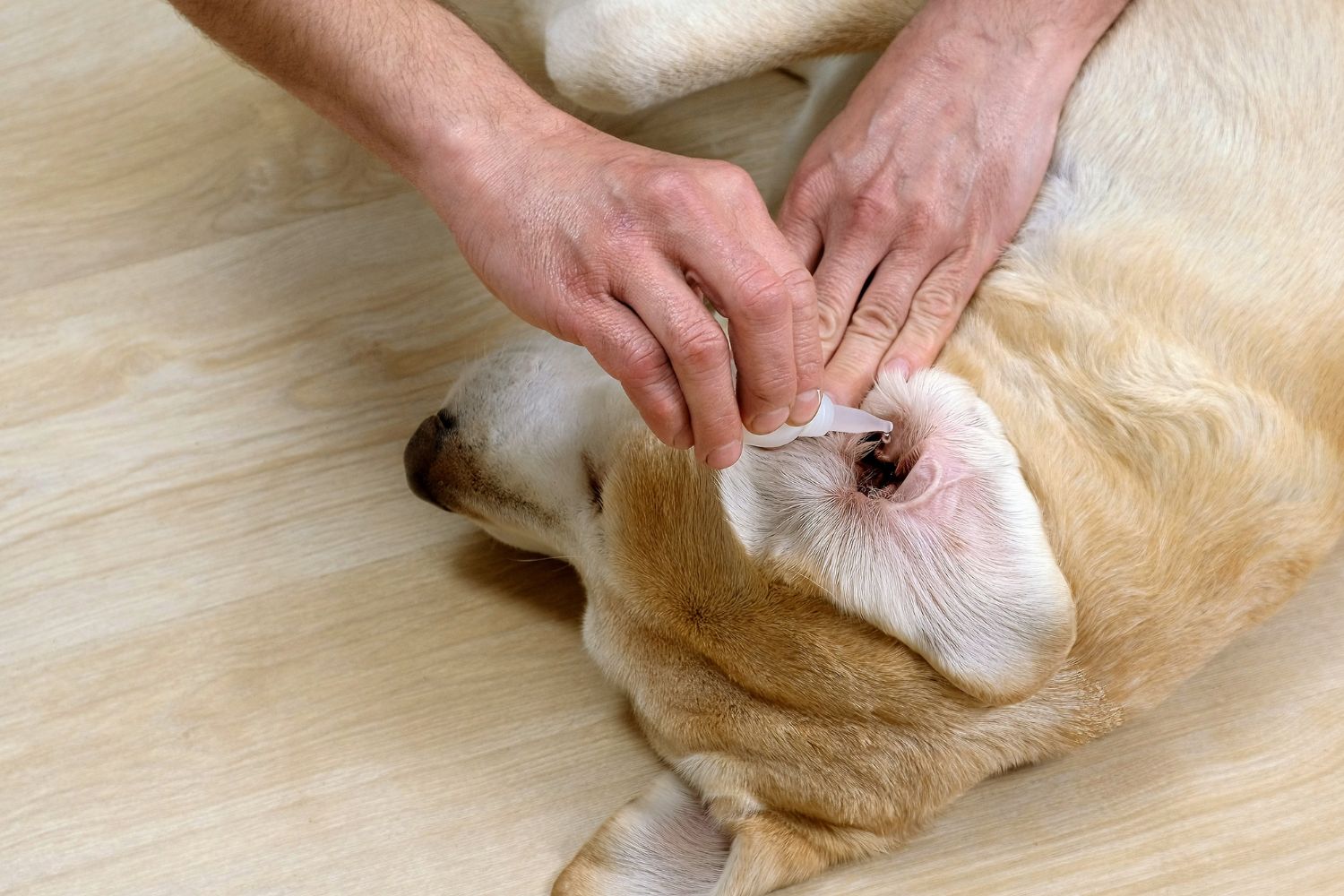 xr:d:DAFzXaXB4iA:30,j:4997152318804212512,t:23110806