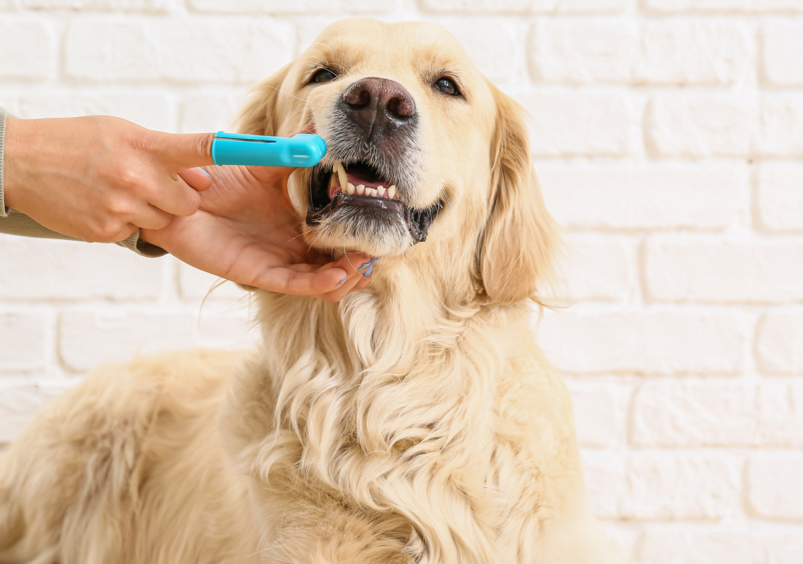 c564a35d368ea298b7ba63344281818a