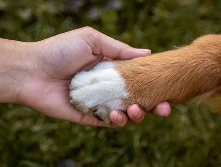 end of life_temp_2021-09-14-16-06-40